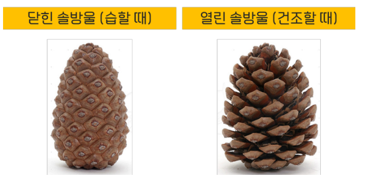 겨울철 온도 습도 조절은? 겨울철 온도 습도 조절은?