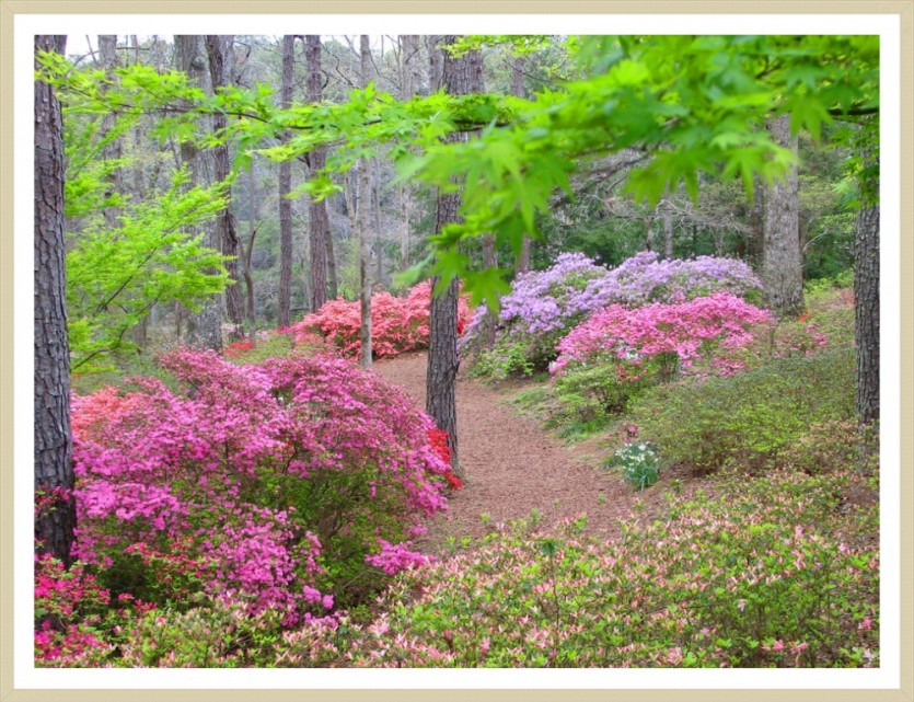 소개 받은 숯침대 짱!!