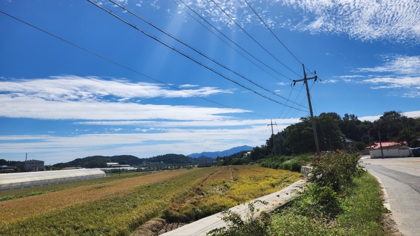 숯침대는 건강 지킴이!