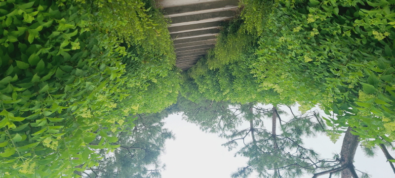 경기지역화폐 가맹점 경기지역화폐 가맹점