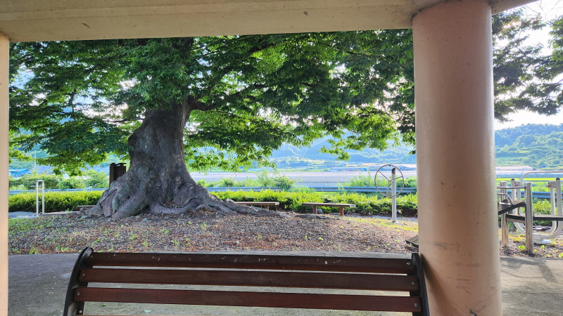 찾고 또 찾는 숯소파!