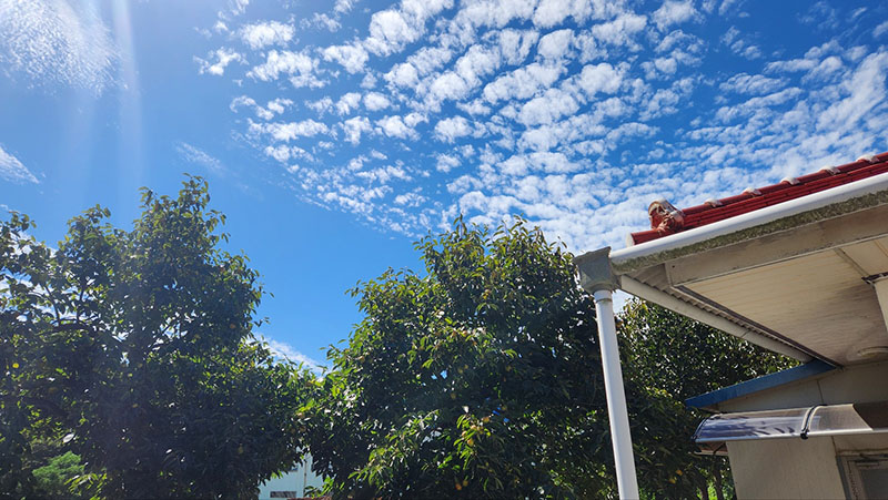 가죽 프레임에서 엔틱 프레임으로 교체 가죽 프레임에서 엔틱 프레임으로 교체