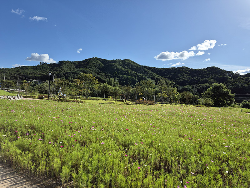 다시 찾는 숯침대! 다시 찾는 숯침대!