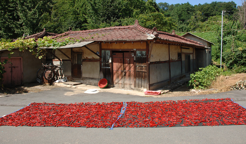 부모님 최고의 추석 선물 부모님 최고의 추석 선물