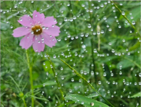혈액순환이 안되면 일어나는 현상들! 혈액순환이 안되면 일어나는 현상들!