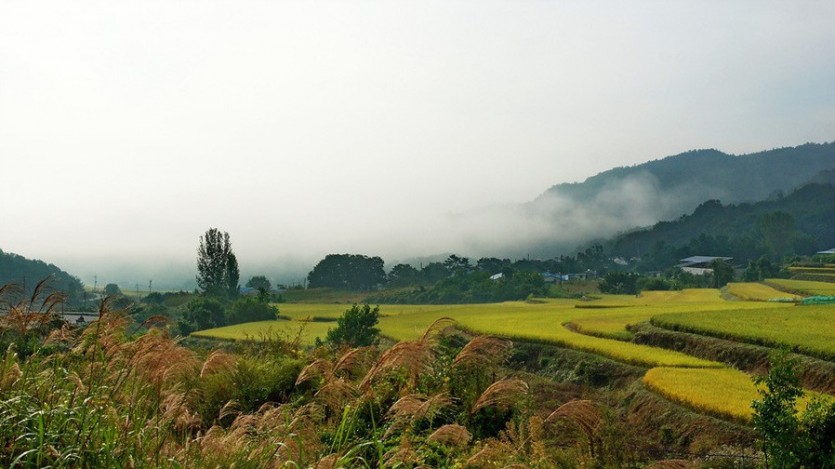 침대인가 소파인가?