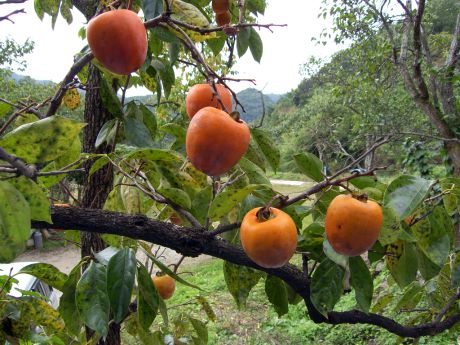 체온이 낮아지면 건강에도 이상이? 체온이 낮아지면 건강에도 이상이?