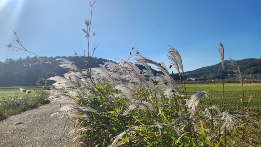 비 내리는 날은 온열이 최고!