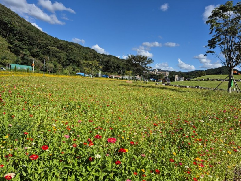 한번 고객은 영원한 고객으로...