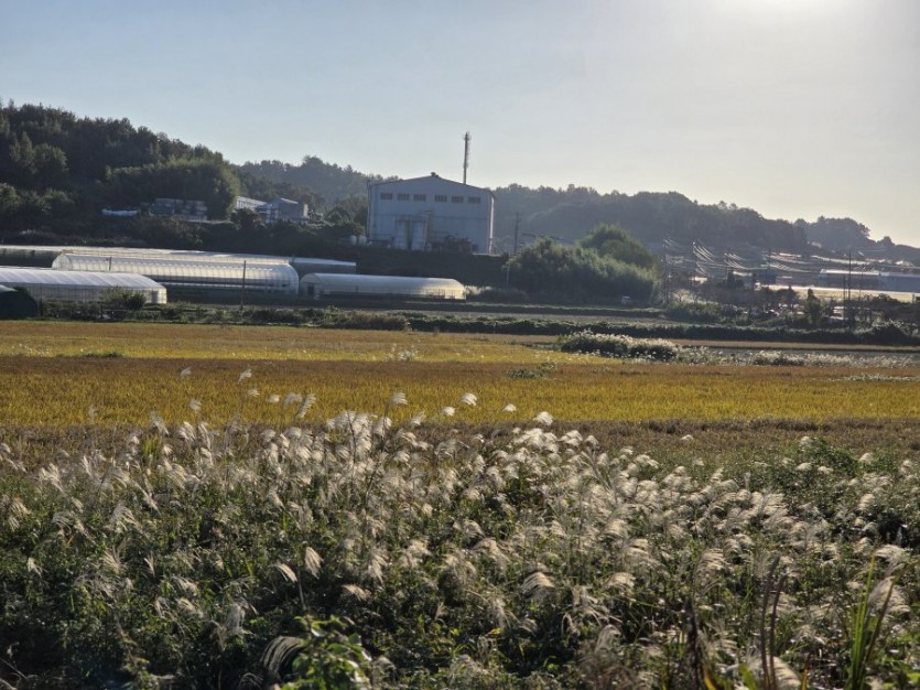 잠을 잘 못 자면 허리 아파.