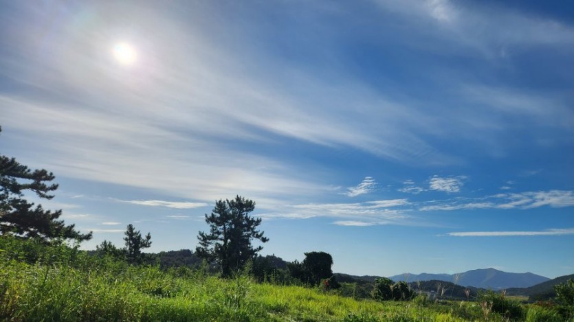 누구나 좋아하는 모델 침대!