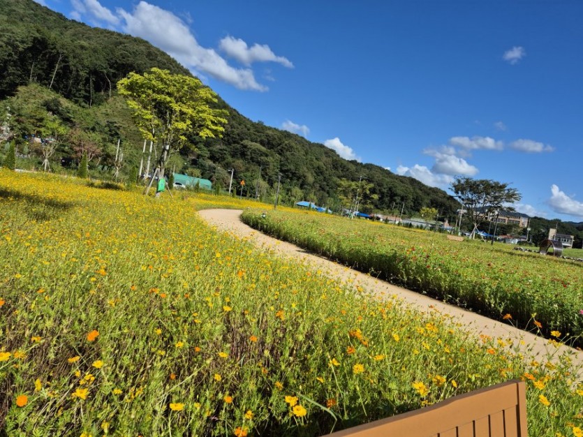 아담하고 깔끔한 세므 소파!