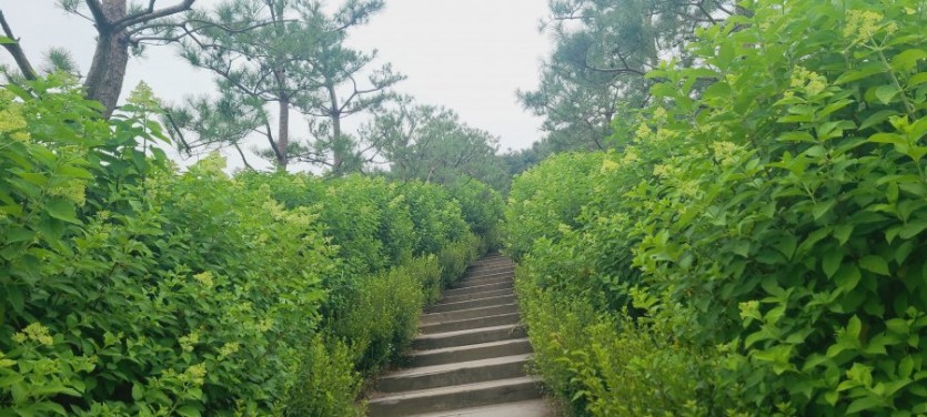 6채널에서 2채널로 보상판매 설치