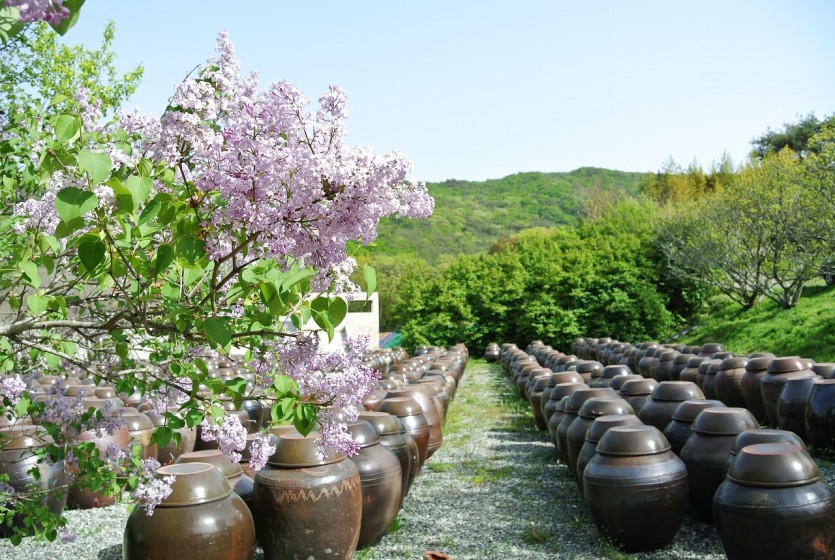 나의 건강을 위하여!