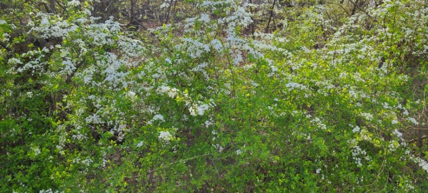 새롭게 단장한 매장!