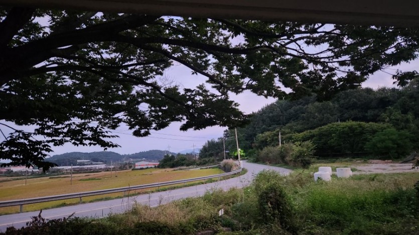 체온이 낮아지면 건강 적신호!