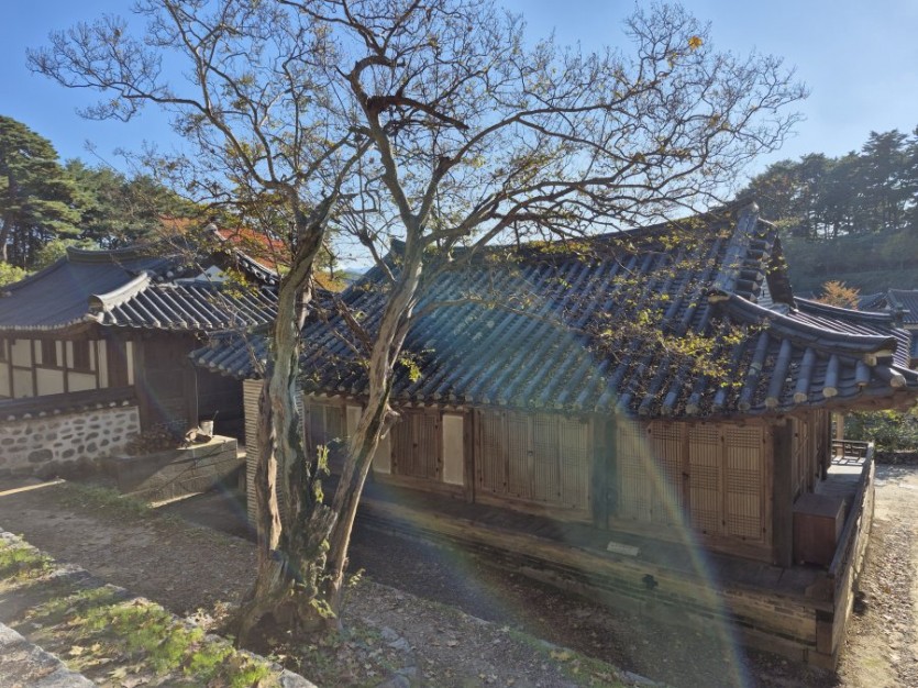 타사 제품 우리 숯소파로 변신!