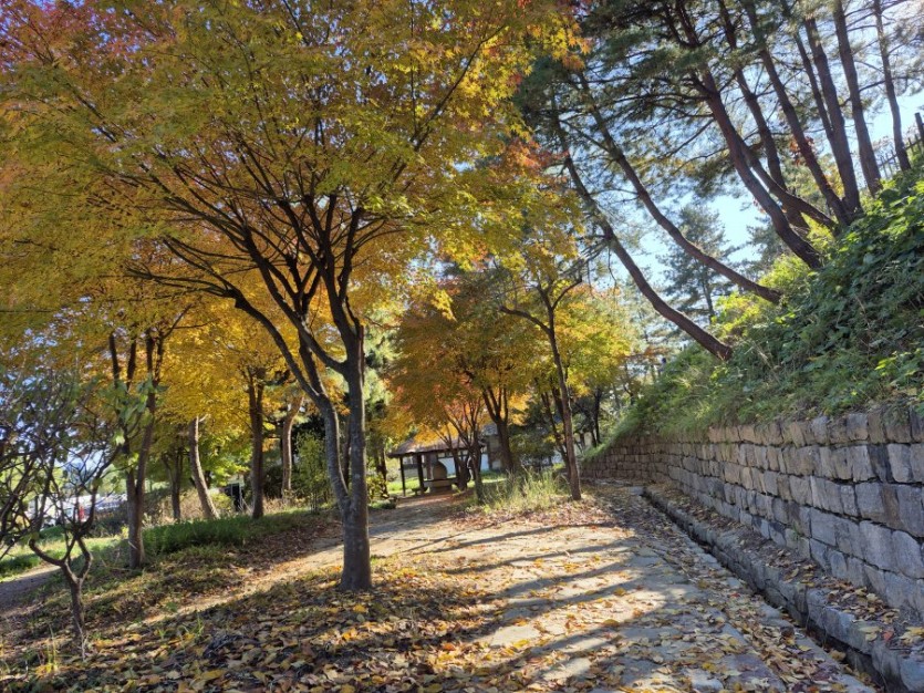 우리집 건강 지킴이