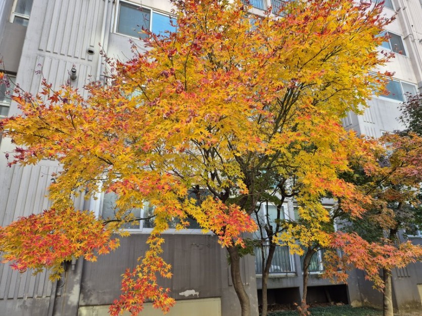 12월달은 올해 마지막 특별 세일기간입니다.