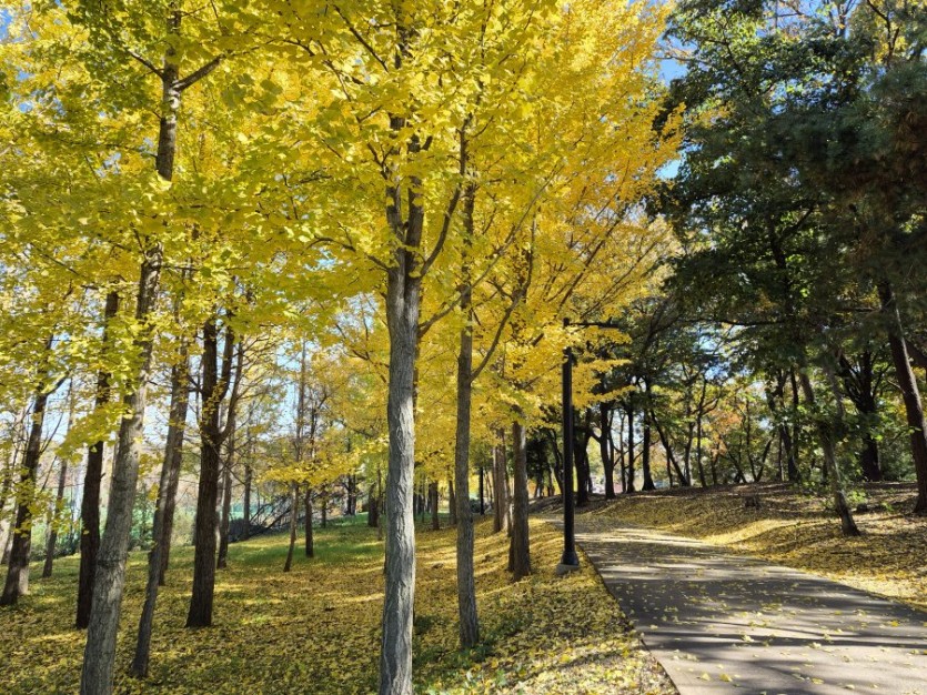 고품격 소파의 인기!