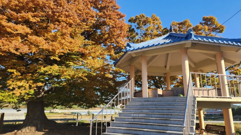 모든 온열(숯, 흙, 돌 등등) 모든 온열제품 A/S 및 이동 문의