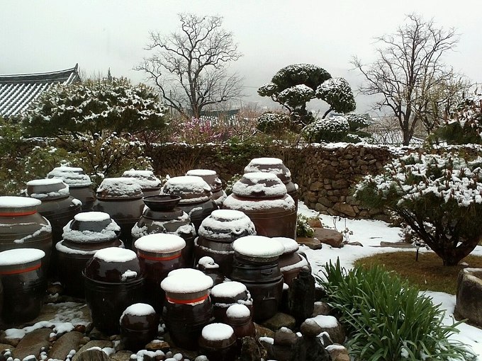 특별 세일기간 몇일 안 남았습니다 특별 세일기간 몇일 안 남았습니다