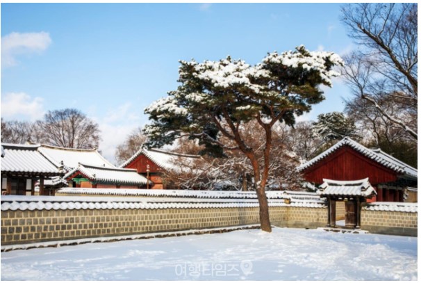 고풍 있는 가죽 소파에 세므도 제법!