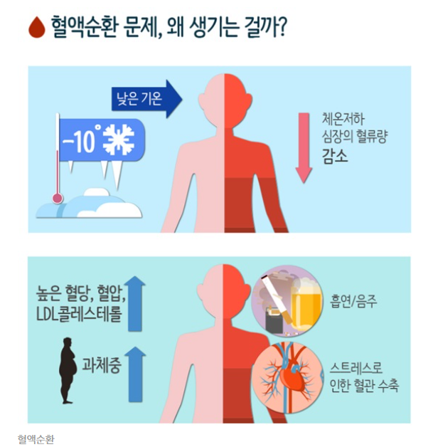 어머님을 위한 딸의 선택!