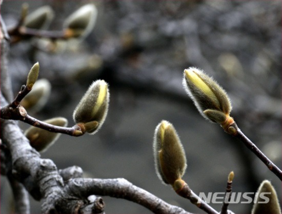 봄맞이 축제 특별 세일 행사 합니다.