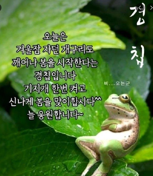 안방에 깔끔한 평상침대