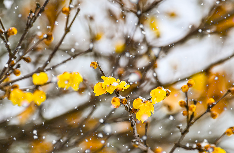 봄 감기는 이렇게...