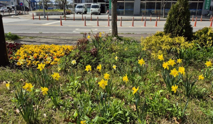 봄 특별 세일 몇 일 안 남았습니다.