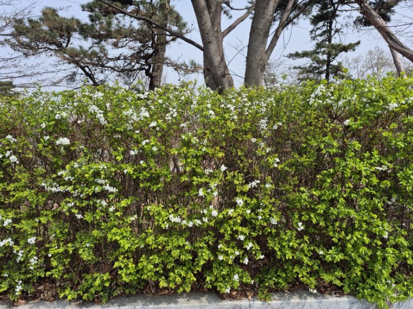 4월 딱 한 달만 특별 세일 합니다.