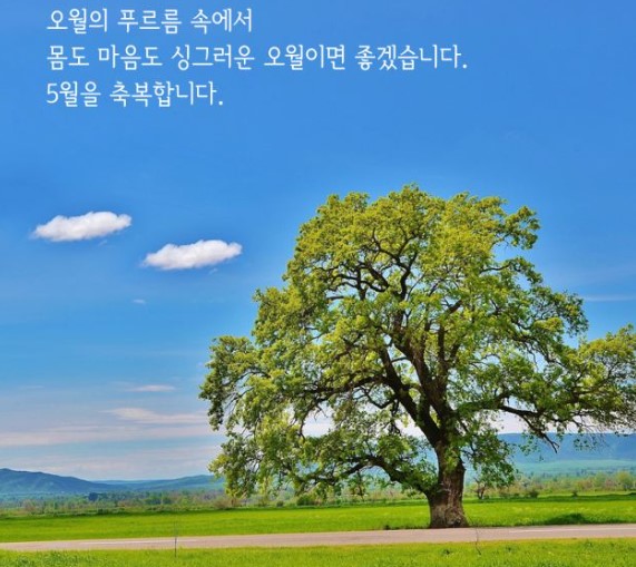 5월의 건강 관리 팁