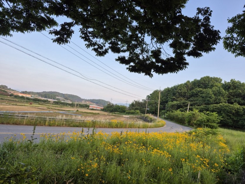 전원주택에 듬직한 숯침대